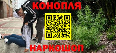 стаф Канаш