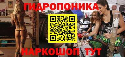 стаф Канаш