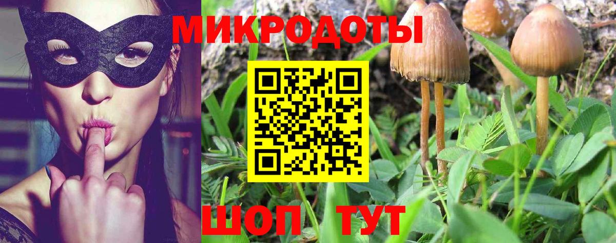 Галлюциногенные грибы Magic Shrooms Тавда